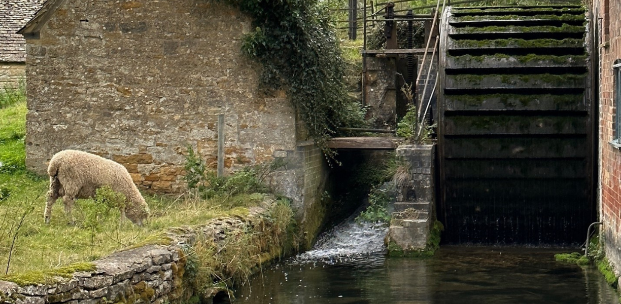 River Eye: A serene waterway meandering through the heart of the Cotswolds' picturesque landscapes